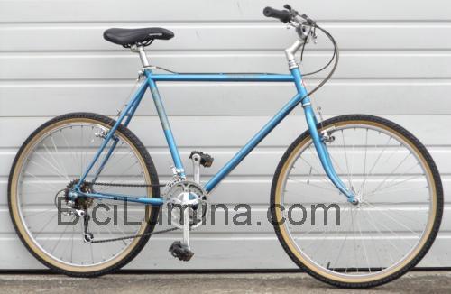 Schwinn Mirada opinión y ficha técnica